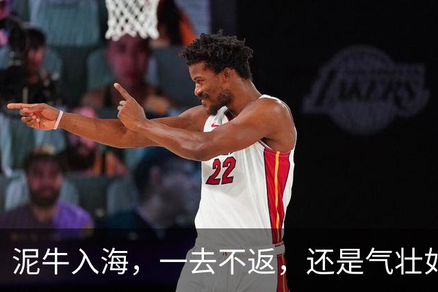 泥牛入海，一去不返，还是气壮如牛，卷土重来？这些新星给出了答案